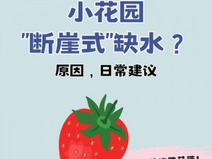 扣小花园的七种手势，教你轻松收纳各种小物品