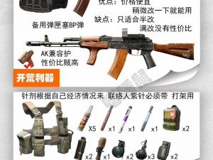 暗区突围枪支大解密：热门武器展示与深度解析