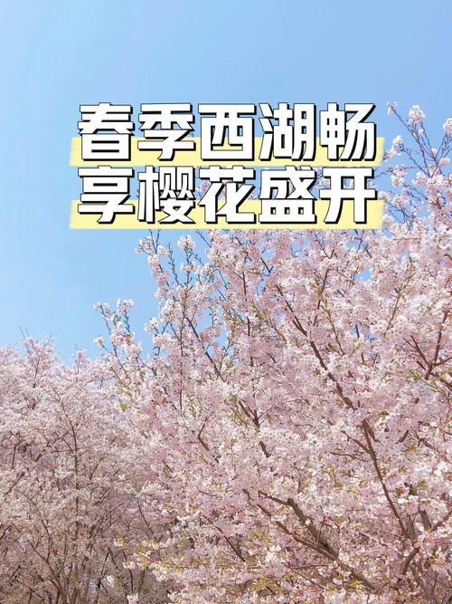 樱花视频在线观看免费高清版，无广告，畅享精彩内容