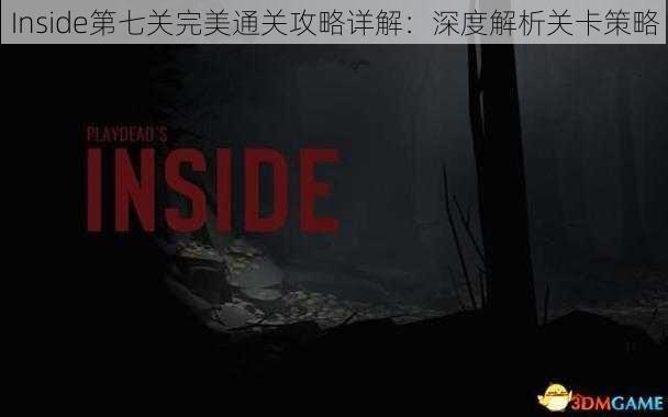 Inside第七关完美通关攻略详解：深度解析关卡策略